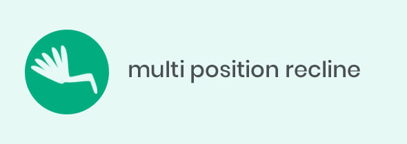 multi position recline multi position recline