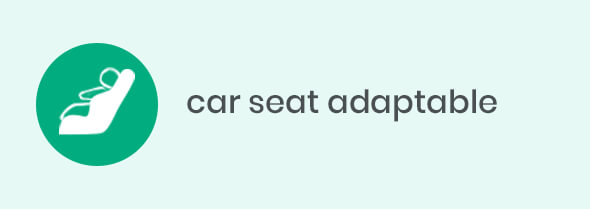 car seat adaptable car seat adaptable