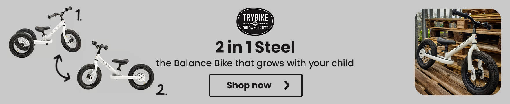 Trybike 2 in 1 Steel